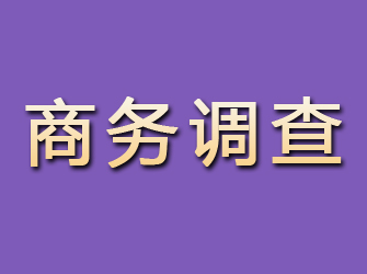 石狮商务调查